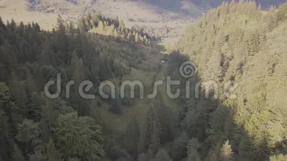 在Dzembronya村附近的夏季喀尔巴阡山森林和山脉的空中景色视频的预览图