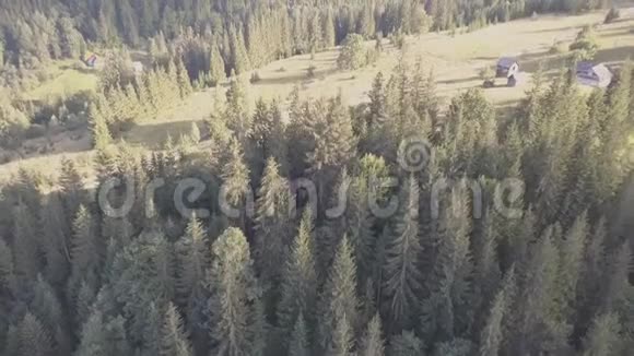 在Dzembronya村附近的夏季喀尔巴阡山森林和山脉的空中景色视频的预览图
