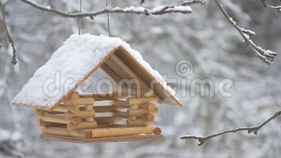 鸟儿飞到喂食器前把种子树上的雪落下的雪花带到鸟舍视频的预览图