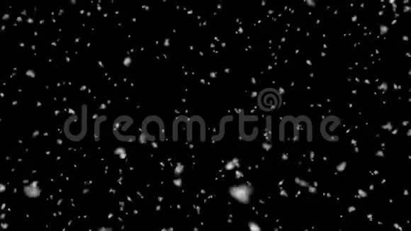 柔和的焦点仙女的冬天落下来现实的雪降雪雪花落下来视频的预览图