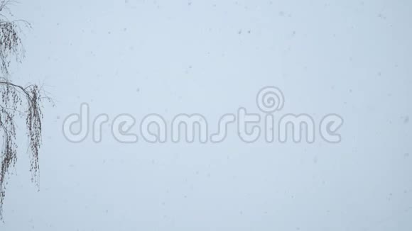 天空背景下的雪视频的预览图