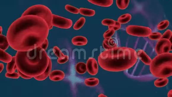 红细胞和DNA双螺旋视频的预览图