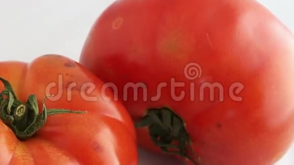 从一大片坏红番茄上俯瞰视频的预览图