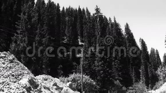 山顶的乔木灌木和线柱视频的预览图