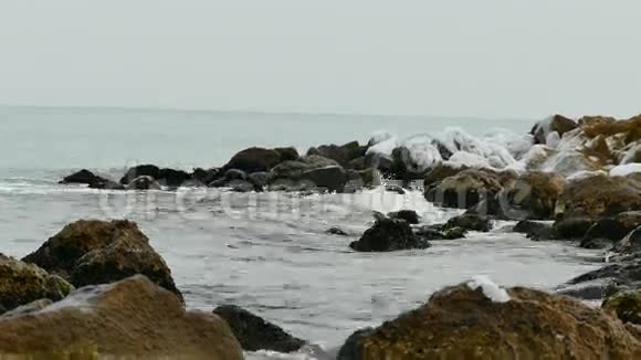 海上的天鹅视频的预览图