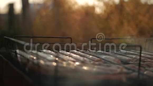 在烧烤架上烤香肠将猪肉香肠烤在带有香肠的便携式烤架上靠近烤架肉视频的预览图