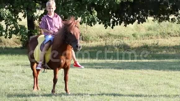 小男孩骑着小马视频的预览图