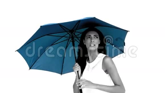 蓝伞下的女人吓得直哆嗦视频的预览图