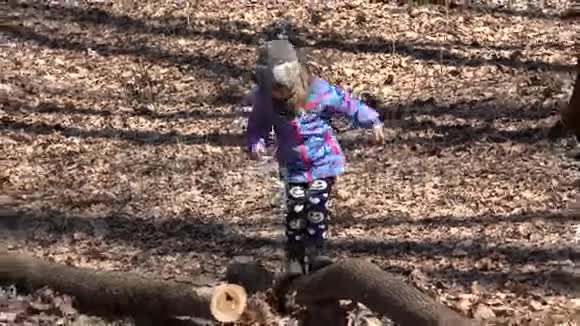 可爱的小女孩走在早春森林的老松树上4K超高清超高清视频的预览图