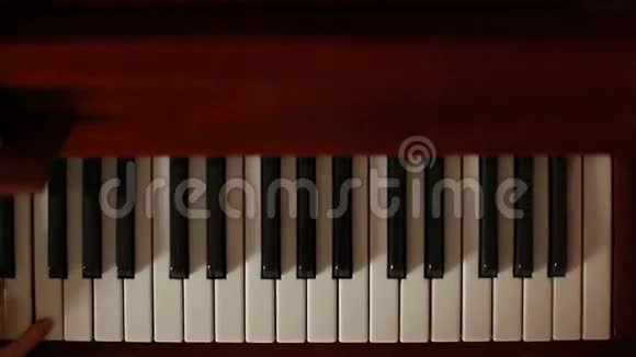 弹动态钢琴视频的预览图