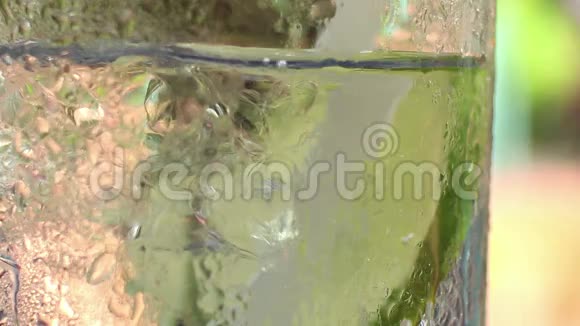 在一个放松的热带环境中用石灰制冷冰奎宁视频的预览图