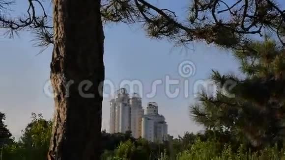 乌班公园的树木城市天际线摩天大楼现代建筑地标视频的预览图