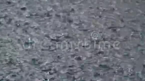 暴雨时大滴的雨落在水坑里水滴视频的预览图