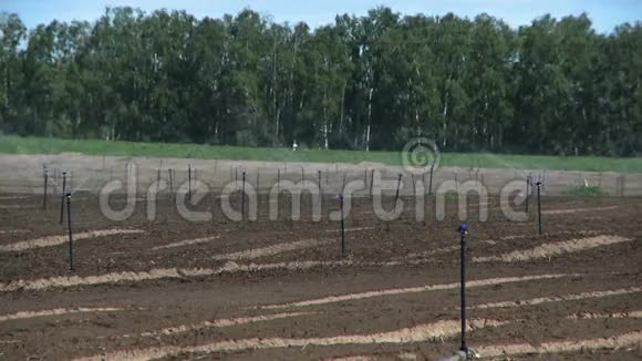 农场灌溉系统视频的预览图
