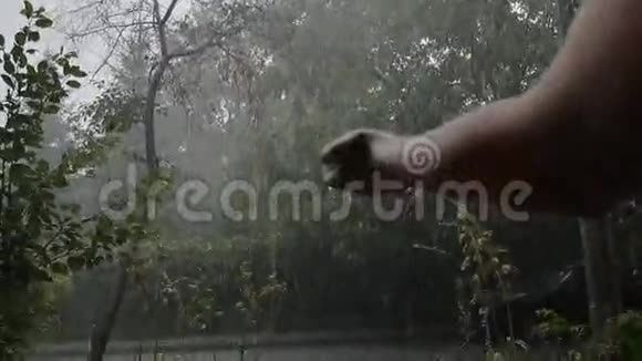 手伸向风雨飘摇的天空欢迎雨在指尖跳动视频的预览图