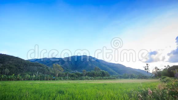 蓝天上的稻田与绿山视频的预览图