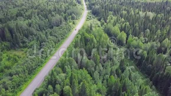 鸟瞰秋天一条被松树森林包围的道路剪辑森林中道路的俯视图视频的预览图