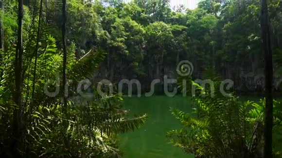 一个池塘周围环绕着绿树和岩石视频的预览图