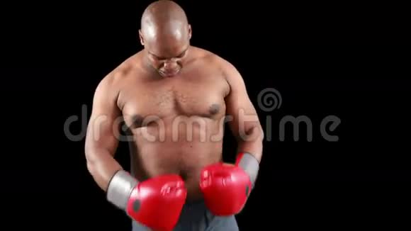 令人激动的拳击手摆姿势拍照视频的预览图