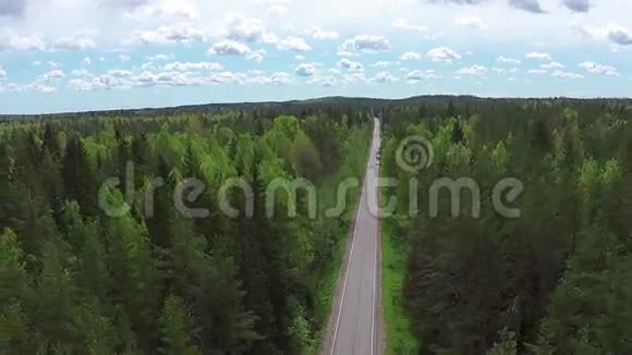 在夏季森林的空中飞行视频的预览图