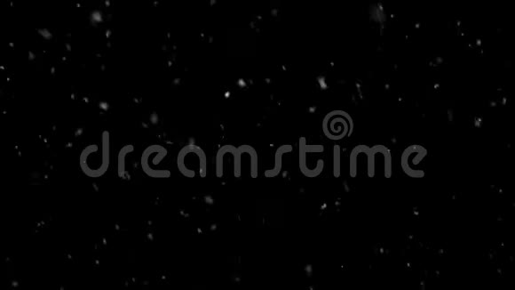 雪花飘落在黑色的背景上视频的预览图