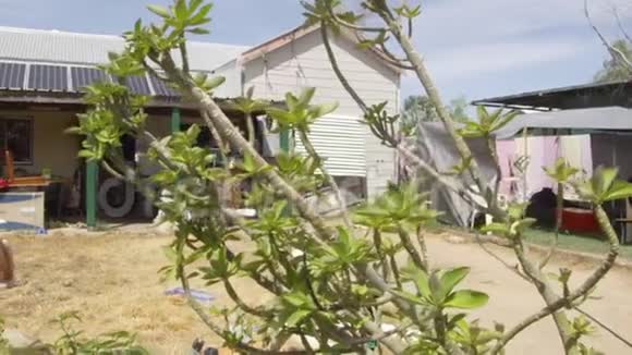 一张房子和灌木丛的照片视频的预览图