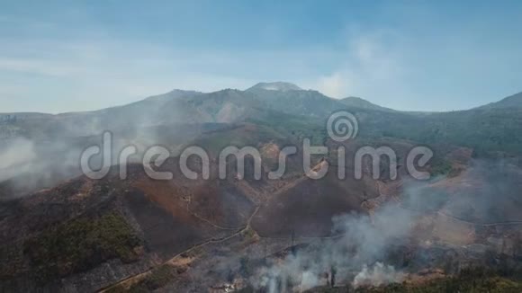 鸟瞰森林火灾印度尼西亚贾瓦岛视频的预览图