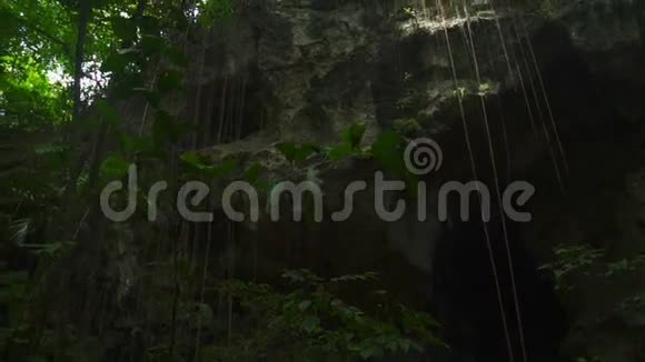 一个大洞穴的入口在很多绿树旁视频的预览图