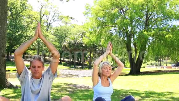 在公园一起做瑜伽的情侣视频的预览图