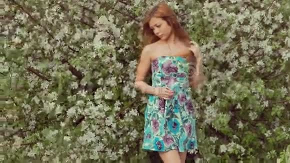 穿着蓝色裙子穿着苹果花背景的女孩视频的预览图