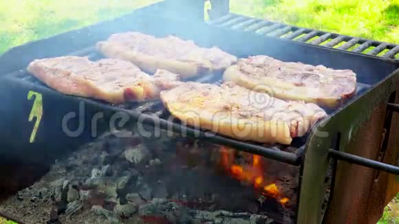 在明火上烤猪肉视频的预览图