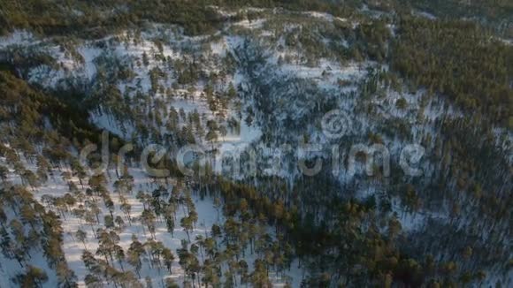 北部有南瓜的冬季森林空中全景视频的预览图
