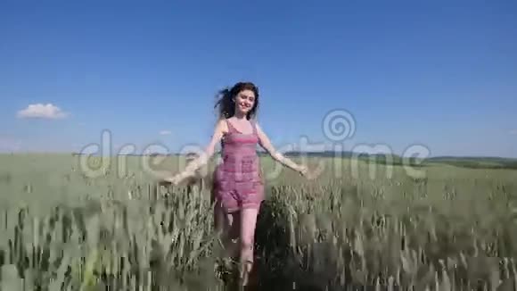 在绿色的麦田上奔跑的美女自由概念快乐的女人在户外收获视频的预览图