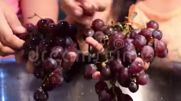 葡萄水果家庭葡萄酒加工徒手摘果视频的预览图