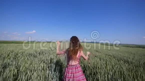 美丽的女孩跑在绿色的麦田上自由概念户外快乐的女人慢动作视频的预览图