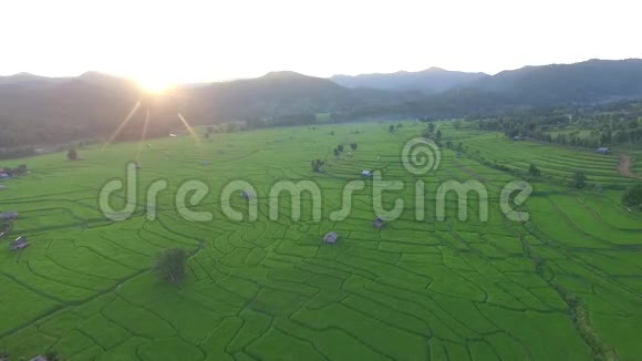 泰国水稻梯田空中摄影视频的预览图