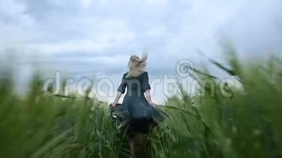 年轻快乐的金发女孩在雨天的背景下晚上跑在绿色的麦田上从视频的预览图