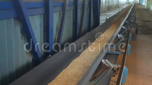 面包制品厂大麦颗粒在传送带上移动农业视频的预览图