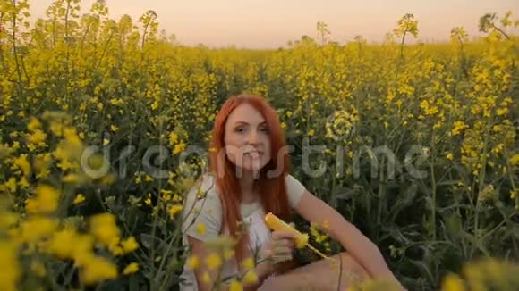 年轻的红发女人在夏天的草地上对着镜头吹泡泡视频的预览图