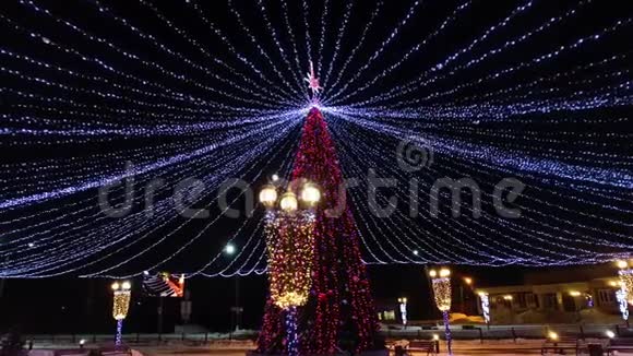 晚上公园里的圣诞树视频的预览图