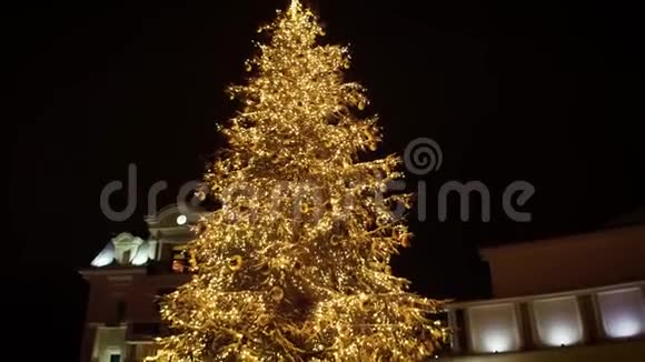 乌克兰乌日戈罗德一棵神奇的夜晚童话圣诞树视频的预览图