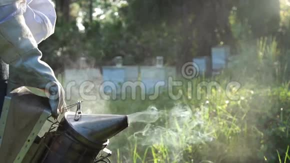 蜂巢烟雾日落慢速运动视频的预览图