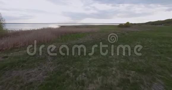 飞越一个大湖的沼泽海岸在水边视频的预览图