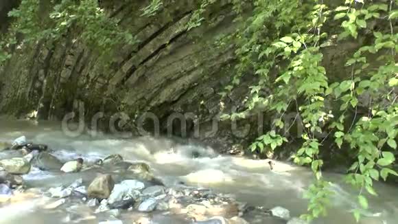 北高加索山区的库普什山河视频的预览图
