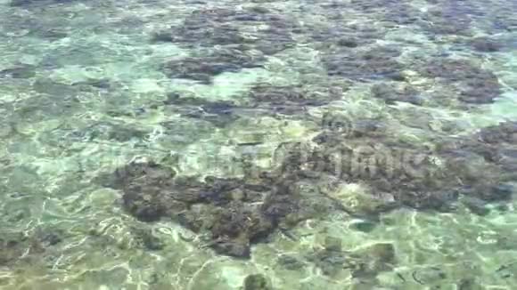 阳光下海面浮起透明清水海底可见沙质视频的预览图