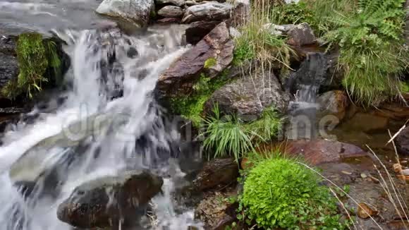 有瀑布和茂盛植被的山河细节视频的预览图