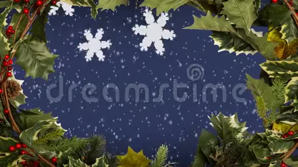 圣诞冬青花圈彩灯视频的预览图