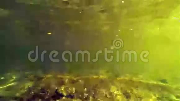 湖的水下景色视频的预览图