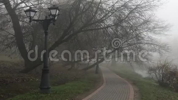 沿着公园里的步行街走沉浸在浓雾中视频的预览图