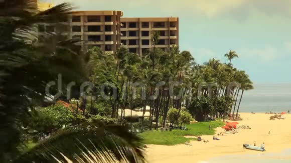 热带海滩度假乐园HD视频的预览图